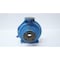 Goulds Water Technology IRON CENTRIFUGAL PUMP CASING 1X1.5-8 3196ST - alternate 1