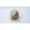Dresser-Rand VALVE MLR18754AP4G1 - alternate 4