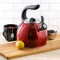 Mr. Coffee Kassel 2.1 Quart Stainless Steel Whistling Tea Kettle in Red 750123702M - alternate 4