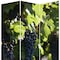 Homeroots 72" Green Canvas Folding Three Panel Screen Room Divider 274640 - alternate 4