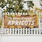 Signmission Farm Fresh Apricots, 48 Inch x 120 Inch, Vinyl Banner B-120-30573 - alternate 4