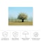 Trademark Fine Art Outdoor Canvas Art Katarina Holmstrom 'Tree With Flowers' Wall Art for Patios, or Gardens 1X10861-OC2432WR - alternate 3