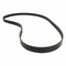 Motorcraft Serpentine Belt,  JK6591 - alternate 2