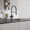 Blanco Catris Flexo Filter-Ready Semi-Pro Pull-Down Dual-Spray Kitchen Faucet - Matte Black 442992 - alternate 2