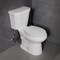 Anzzi Rev 12in 2pc 1.28 GPF Siphon Round Ceramic Toilet, White Soft Close Seat, ADA height Included TL-AZ071 - alternate 1