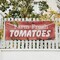 Signmission Farm Fresh Tomatoes, 48 Inch x 120 Inch, Vinyl Banner B-120-30618 - alternate 2