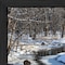 Homeroots Great Outdoors Nature 1 Black Framed Print Wall Art 416023 - alternate 4