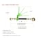 Mytee Products Hi-Viz Green Folding Handle Ratchet Load Chain Binder w/Grab Hook & Slip Hook CBRS-FH12-58SH-12GH - alternate 3