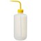 Nalgene Wash Bottle, Plastic, Colorless, PK24 2422-2500 - alternate 2