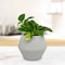 Trendspot Trendspot Rena 6.5 in. H X 8 in. W X 8 in. D X 8 in. D Ceramic Planter Gray CR01474N-08H - alternate 3