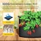 Ipower YSSOA Grow Bags 10 Gallon 300G Reusable Breathable Gardening Pots w/ Handles Non-Woven Fabric, 24PK GLGROWBAG10X6BLKX4 - alternate 2