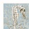 Homeroots Set Of Two Coral Seahorse White Framed Print Wall Art, 2PK 408174 - alternate 2
