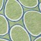 Homeroots 8' Artichoke Green And Ivory Round Abstract Washable Indoor Outdoor Area Rug 600506 - alternate 3