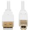 Eaton EATON USB 2.0 A To B Antibacterial Cable M/m, White, 6 Ft. 1.83 M U022AB-006-WH - alternate 1