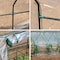 Miracle-Gro 3 x 8 x 3 ft Clear Mini Greenhouse 70525 - alternate 6