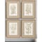 Homeroots Set Of Four Botanical Plants Gold Framed Print Wall Art, 4PK 525472 - alternate 2