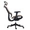 Homeroots Set of Two Brown and Black Adjustable Height Swivel Rolling Office Chair 638368 - alternate 4