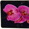 Homeroots 24" Pink Black And Gold Solid Wood and Acrylic Silent Orchids Floral Wall Clock 626572 - alternate 3