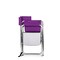 Picnic Time Family Of Brands Sports Chair, Purple 809-00-101-000-0 - alternate 4