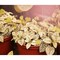 Miracle Led Craft Grow Light Kit, Fire Blossom Red Spectrum Absolute Daylight+, 2PK 803418 - alternate 2