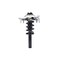 Fcs Struts Suspension Strut And Coil Spring Assembly 3335832L - alternate 1