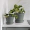 Bloem Terra 0.75 in. H X 3.75 in. W X 3.25 in. D Plastic Traditional Plant Saucer Basil STT0441 - alternate 2