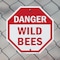 Signmission Danger Wild Bees, 6 inch X 6 inch, Plastic Sign, 2PK OC-P-2PACK-6-22 - alternate 3