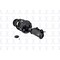 Fcs Struts Suspension Strut And Coil Spring Assembly 1333713R - alternate 2