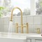 Blanco Empressa Bridge Pull-Down Faucet 1.5 GPM, Satin Gold 442981 - alternate 4