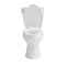 Craft And Main Elongated Toilet, pc, Easley, Guard TL-5800AFHV-EW - alternate 4