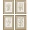 Homeroots Set Of Four Botanical Plants Gold Framed Print Wall Art, 4PK 525472 - alternate 1