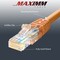 Maximm Cat6 Ethernet Cable 1ft 10Gbps 550MHz UTP, 10PK, Orange, 10PK CAT6-1OR-10PK - alternate 2