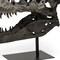 Homeroots Authentic Replica T Rex Skull Sculpture 392483 - alternate 3