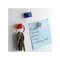 Magnet Source Magnetic Push Pins .625in L X .5in W Assorted Neodymium/Plastic Assorted 7507 - alternate 4