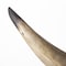Homeroots Set of Two Brown And Black Resin And Metal Horn Decorative Bookends, 2PK 392132 - alternate 3