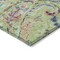 Homeroots 3' X 5' Artichoke Green And Pink Paisley Washable Indoor Outdoor Area Rug 588588 - alternate 3