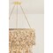 Corbett Lighting Naxos 18 Light Chandelier in Vintage Gold Leaf Finish 552-42-VGL - alternate 3