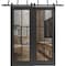 Sartodoors Sliding Closet Clear Glass Barn Bypass Doors, Lucia 2366 Matte Black and Aluminum Strips, Sturdy 6 LUCIA2366BBB-BLK-48 x 80 (2* 24x80) - alternate 1