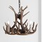 Jonathan Y Nelle 18" Adjustable Resin Antler 3-Light LED Chandelier, Brown JYL6304A - alternate 6