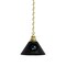 Holland Bar Stool Co San Jose Sharks Pendant Light, Brass Fixture BL1BRSJShar - alternate 1