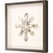 Homeroots Oyster Shell I Brown Framed Print Wall Art 526963 - alternate 2