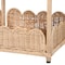 Bali & Pari Brooks Metal-framed Natural Rattan Accent Shelf 267-14615-ZORO - alternate 4