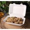 Kitch 24/7 Disposables White Compostable Molded Fiber Hinged Container, 9 x 6 inch, 200PK KC-9X6HC-NPAW - alternate 2