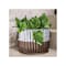 Krylon Paint+Primer Spray Paint Fusion All-In-One Metallic Dark Copper 12 oz Dark Copper K02767007 - alternate 3