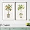 Homeroots Set Of Two Fruit Topiary Black Framed Print Wall Art, 2PK 416412 - alternate 3