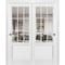 Sartodoors Sliding Closet Bypass Doors, Felicia 3599 White Silk with Clear Glass, Sturdy Rails Moldings Trims FELICIA3599DBD-WS-48 - alternate 1