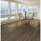 Shaw Endura 512C Plus Cinnamon Walnut 7'' Wx48'' L Vinyl Rigid Core Floor Plank, 18.68 Sq. Ft./Case 0736V-00150 - alternate 2
