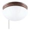 Westinghouse 2LGT Sienn Ceil Fixture 67202 - alternate 1