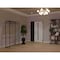 Vdomdoors Aluminum Door with Hidden Handle Hiddex 0155 Ardesia Nero Entry Steel Metal Modern Painted W36+14xH HIDDEX0155EXD-BLK-W36+14xH80-RH-I - alternate 2