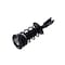 Fcs Struts Suspension Strut And Coil Spring Assembly 1332317 - alternate 2